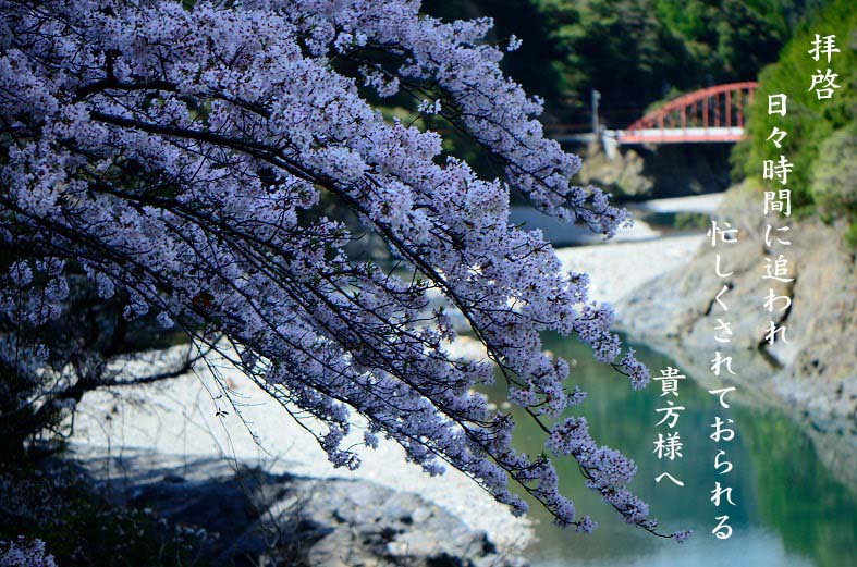 拝啓 日々時間に追われ 忙しくされておられる 貴方様へ